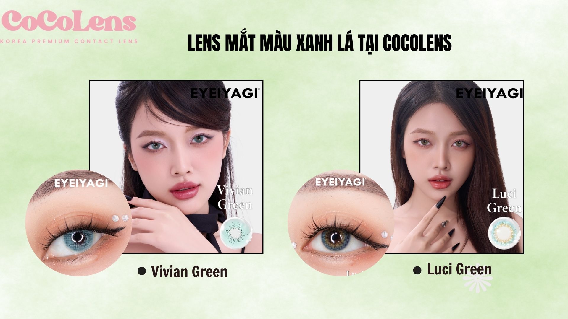 Lens mắt màu xanh lá