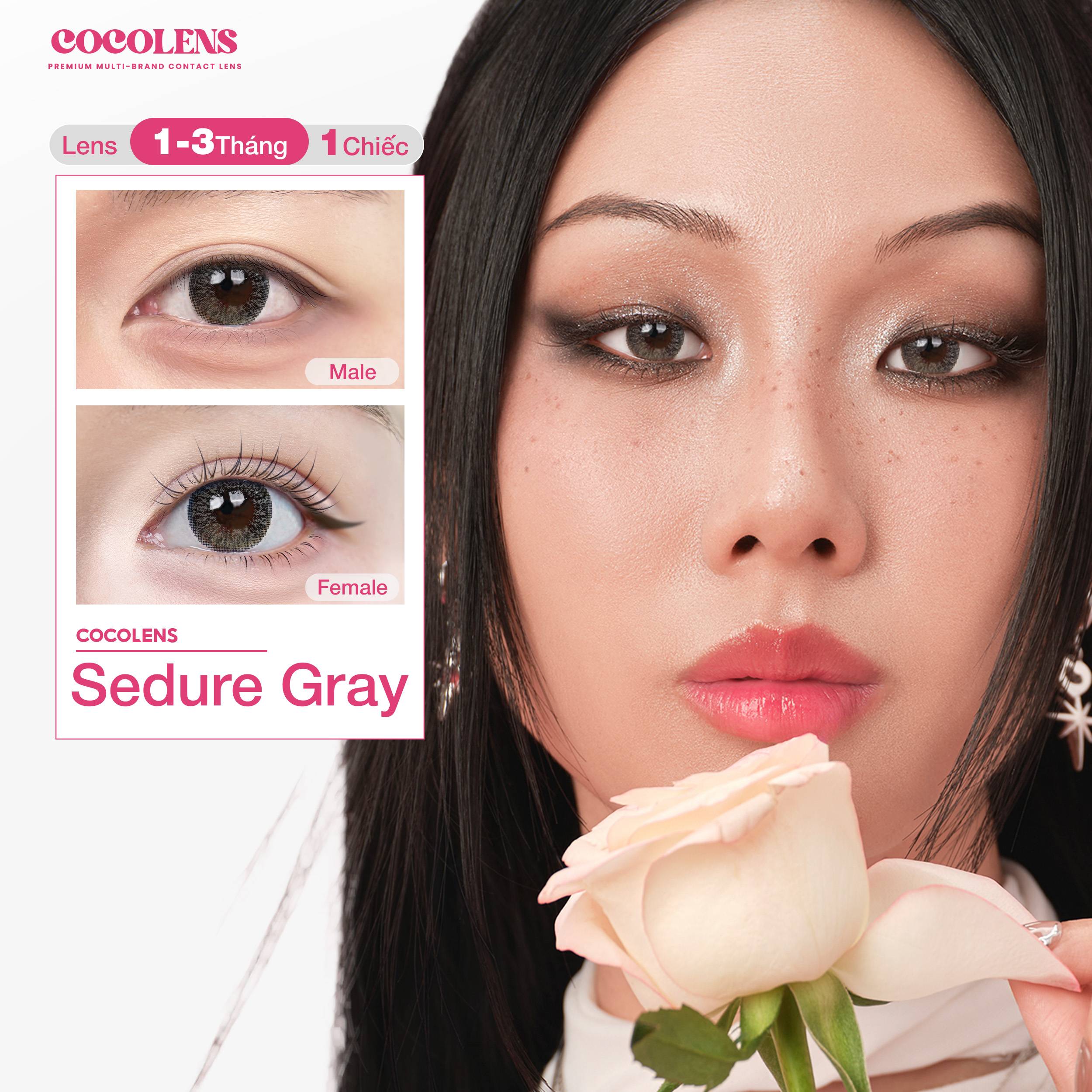 Kính áp tròng COCOLENS SEDURE GRAY Màu Xám Khói tự nhiên 1 - 3 tháng (1 Chiếc Lệch Độ) Độ Cận 0.00 - 8.00