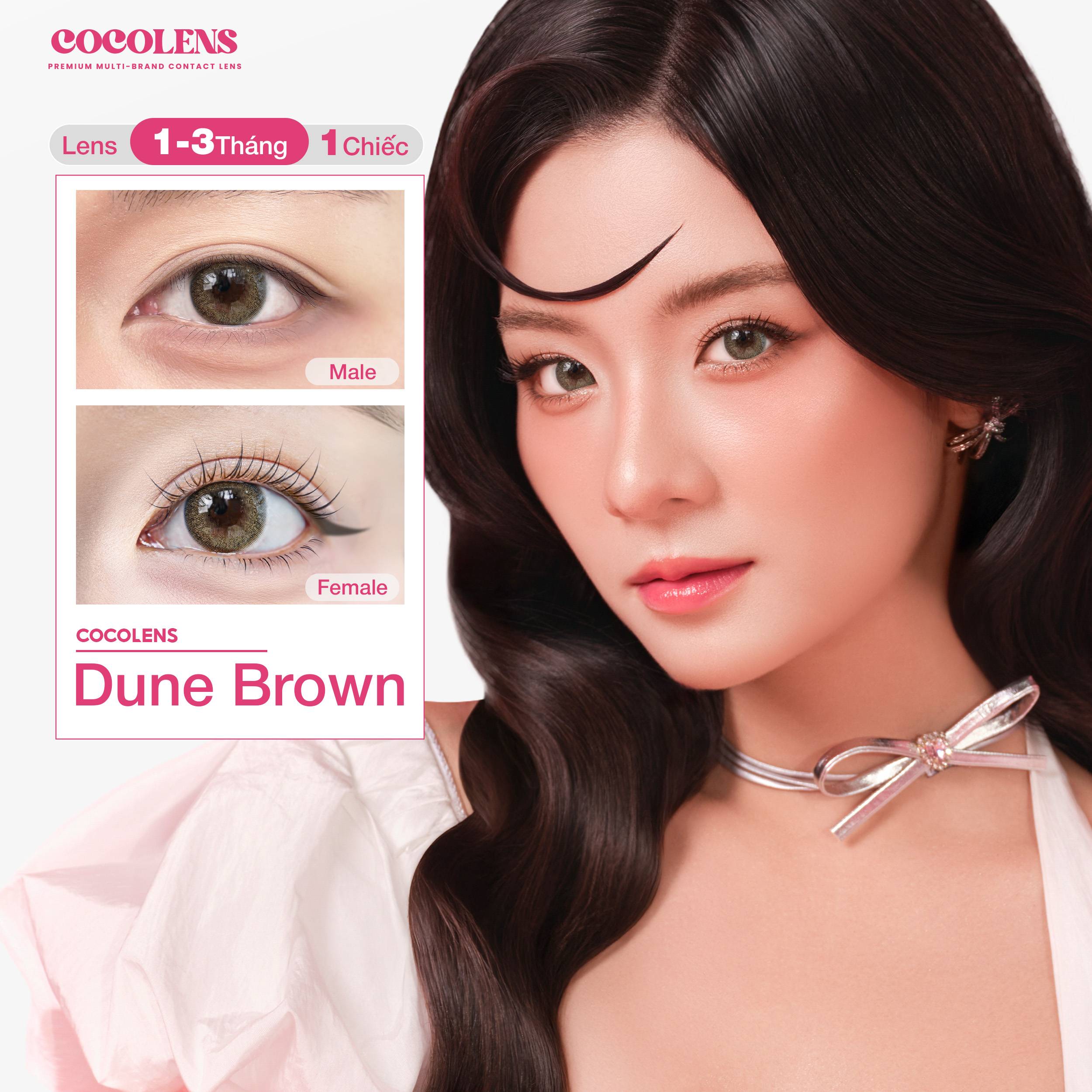 Kính áp tròng COCOLENS DUNE BROWN Màu Nâu Beige 1 - 3 tháng (1 Chiếc Lệch Độ) Độ Cận 0.00 - 8.00