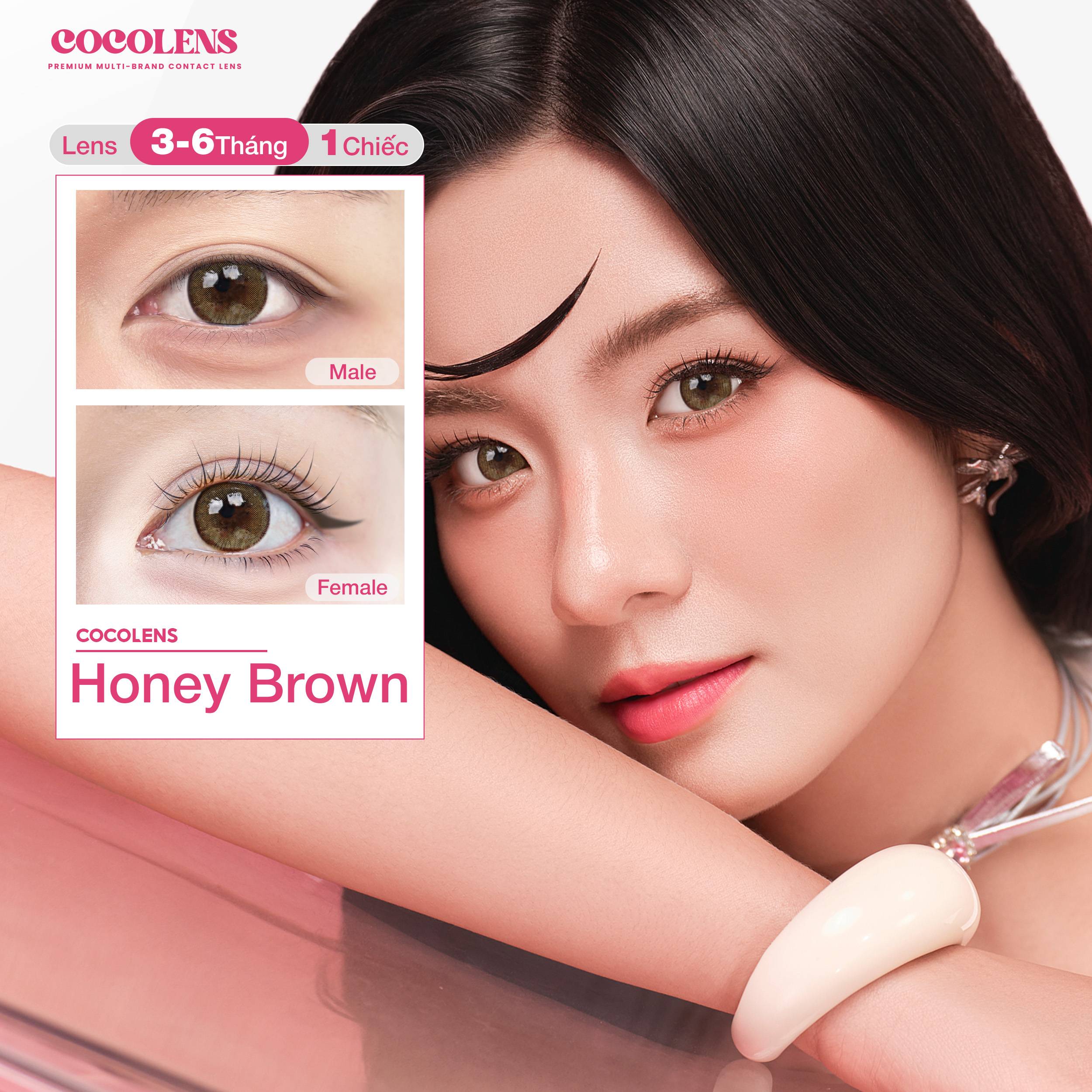 Kính áp tròng COCOLENS HONEY BROWN Màu Nâu mật ong  3 - 6 tháng (1 Chiếc Lệch Độ) Độ Cận 0.00 - 8.00
