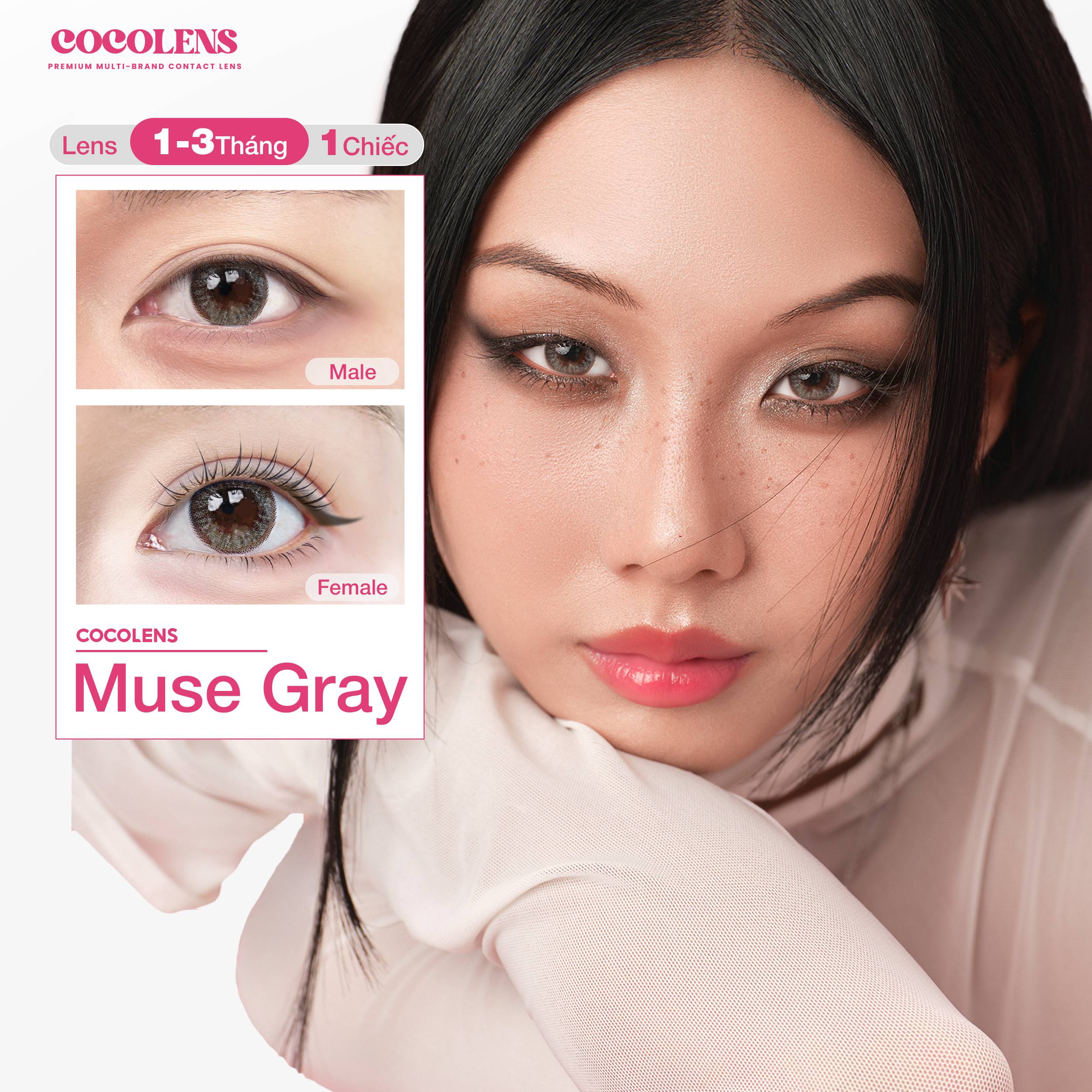 Kính áp tròng COCOLENS MUSE GRAY Màu Xám Khói Tây 1 - 3 tháng (1 Chiếc Lệch Độ) Độ Cận 0.00 - 8.00
